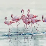 Julia Cassels, Silhouette