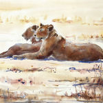 Julia Cassels, Lionesses