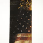 Melanie Baker, We Talk of Taxes, and I Call You Friend, 2011