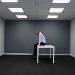 John Wood and Paul Harrison, Board, 1993