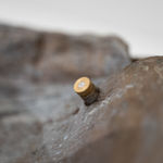 Malia Jensen, Rainbow Cats, 2004