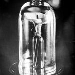 Allan Barnes, Rowynn, 2009