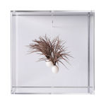 Susie MacMurray, Wise Woman , 2022