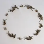 Hiromi Tango, Healing Circle - Quiet Space (Ma), 2026