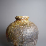 Sugimoto Sadamitsu 杉本貞光, Shigaraki 信楽