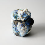 Oishi Sayaka 大石早矢香, Water Jar - feathers- 水指, 2024