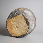 Sugimoto Sadamitsu 杉本貞光, Shigaraki 信楽