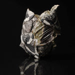 Shingu Sayaka 新宮さやか, No.57 White flower 花霙, 2024