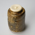 UEDA Naokata Ⅴ 五代 上田直方, Shigaraki Tea Caddy 信楽茶入