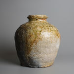 Sugimoto Sadamitsu 杉本貞光, Shigaraki 信楽