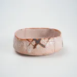 Wakao Toshisada 若尾利貞, Shino Mukozuke dishes: Set of 5