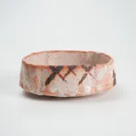 Wakao Toshisada 若尾利貞, Shino Mukozuke dishes: Set of 5