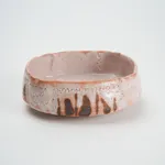 Wakao Toshisada 若尾利貞, Shino Mukozuke dishes: Set of 5