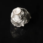 Shingu Sayaka 新宮さやか, No.57 White flower 花霙, 2024