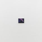 Charles Hascoët, Stacey Pullen, , 2025