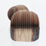 Li Hongbo, Beech - Wood Series, 2021