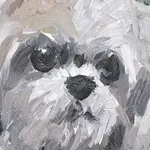 Charles Hascoët, Bob, 2022