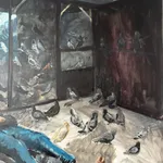 Charles Hascoët, Frank the Cat, 2026