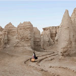 Gohar Dashti, Stateless, 2014-2015