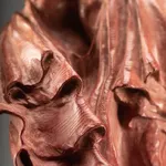 Richard MacDonald, Gymnast, Eighth life, 1995