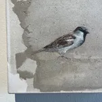 Jan Grotenbreg - Musje