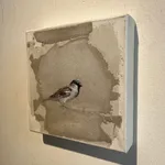 Jan Grotenbreg - Musje