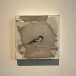 Jan Grotenbreg - Musje