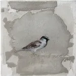 Jan Grotenbreg - Musje