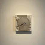 Jan Grotenbreg - Musje