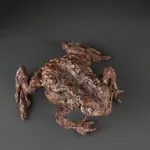 Ans Zondag - Mr. Toad