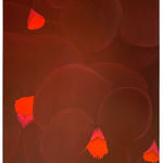 Alba Suau, ARX11/23, 2023