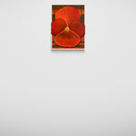 Alba Suau, ARX11/23, 2023