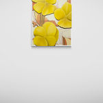 Alba Suau, ARX11/23, 2023