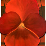 Alba Suau, ARX11/23, 2023