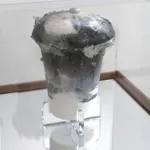 Joe Ray, Mushroom (Whatnot), 2023