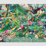 Marty Schnapf, Rescue, 2024