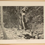 Ed Ruscha, (Ed - Werd Rew - Shay) Young Artist, 1972