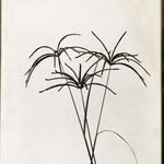 Richard Register, Large Design for a Proposed "Integral Neighborhood" in Berkeley, CA, 1978