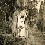 [U.S. Forest Service], An archive with over 150 photographs which focus on wildfire prevention, land management, and forestry reclamation practices...