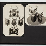 Unknown (Various Press Agencies), Collection of press photos related to the early days of Computer History, 1960s-90s