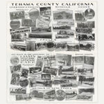 Richard Register, Large Design for a Proposed "Integral Neighborhood" in Berkeley, CA, 1978