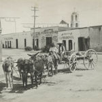 Matthew King, #395, 2021