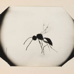 Unknown (Various Press Agencies), Collection of press photos related to the early days of Computer History, 1960s-90s