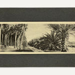 Richard Register, Large Design for a Proposed "Integral Neighborhood" in Berkeley, CA, 1978