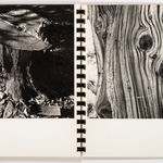 Ed Ruscha, (Ed - Werd Rew - Shay) Young Artist, 1972