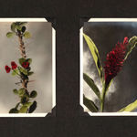 [Martial Arts], Vibrant Poster for the International Martial Arts Festival in Los Angeles, 1979