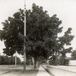 Richard Register, Large Design for a Proposed "Integral Neighborhood" in Berkeley, CA, 1978
