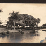[Martial Arts], Vibrant Poster for the International Martial Arts Festival in Los Angeles, 1979