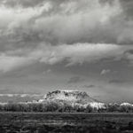 [Gulf War], Protest Flyer "We Shell Not Exxonerate Saddam...", 1990