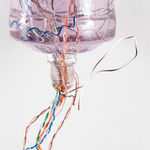 Gillian Brett, Bromus Driandus, 2022